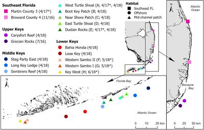 Stony Coral Tissue Loss Disease in Florida Is Associated With Disruption of Host–Zooxanthellae Physiology